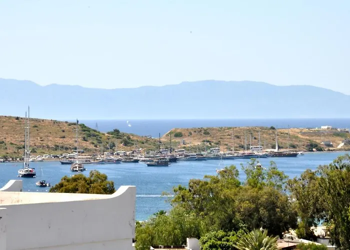 Gloriatibi Jarra 2* Gümbet