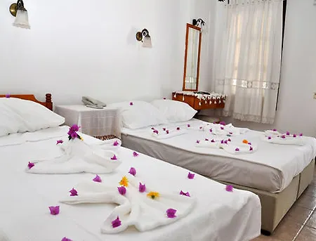 Hotel Gloriatibi Jarra 2*