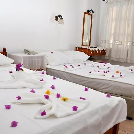 Hotel Gloriatibi Jarra 2*