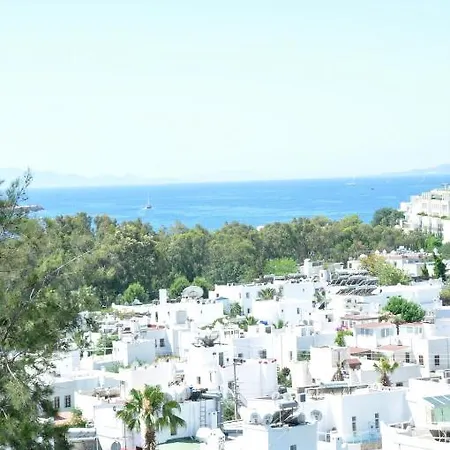 Hotel Gloriatibi Jarra