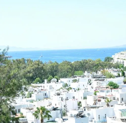 Hotel Gloriatibi Jarra