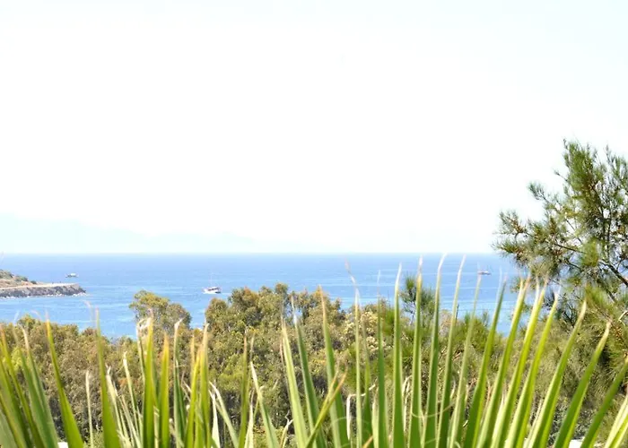 Hotel Gloriatibi Jarra